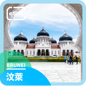 [Brunei] eSIM⎪4G High Speed Internet Access